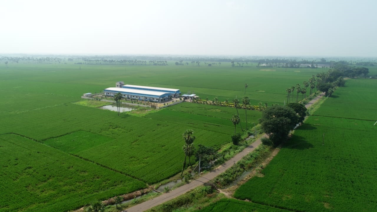 WhatsApp Image 2020-11-05 at 18.19.26