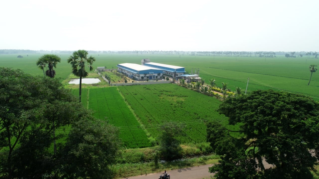 WhatsApp Image 2020-11-05 at 18.19.44