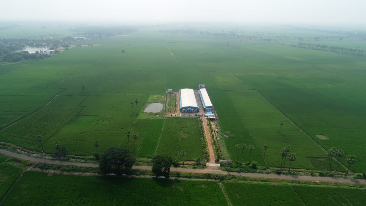 WhatsApp Image 2020-11-05 at 18.20.16